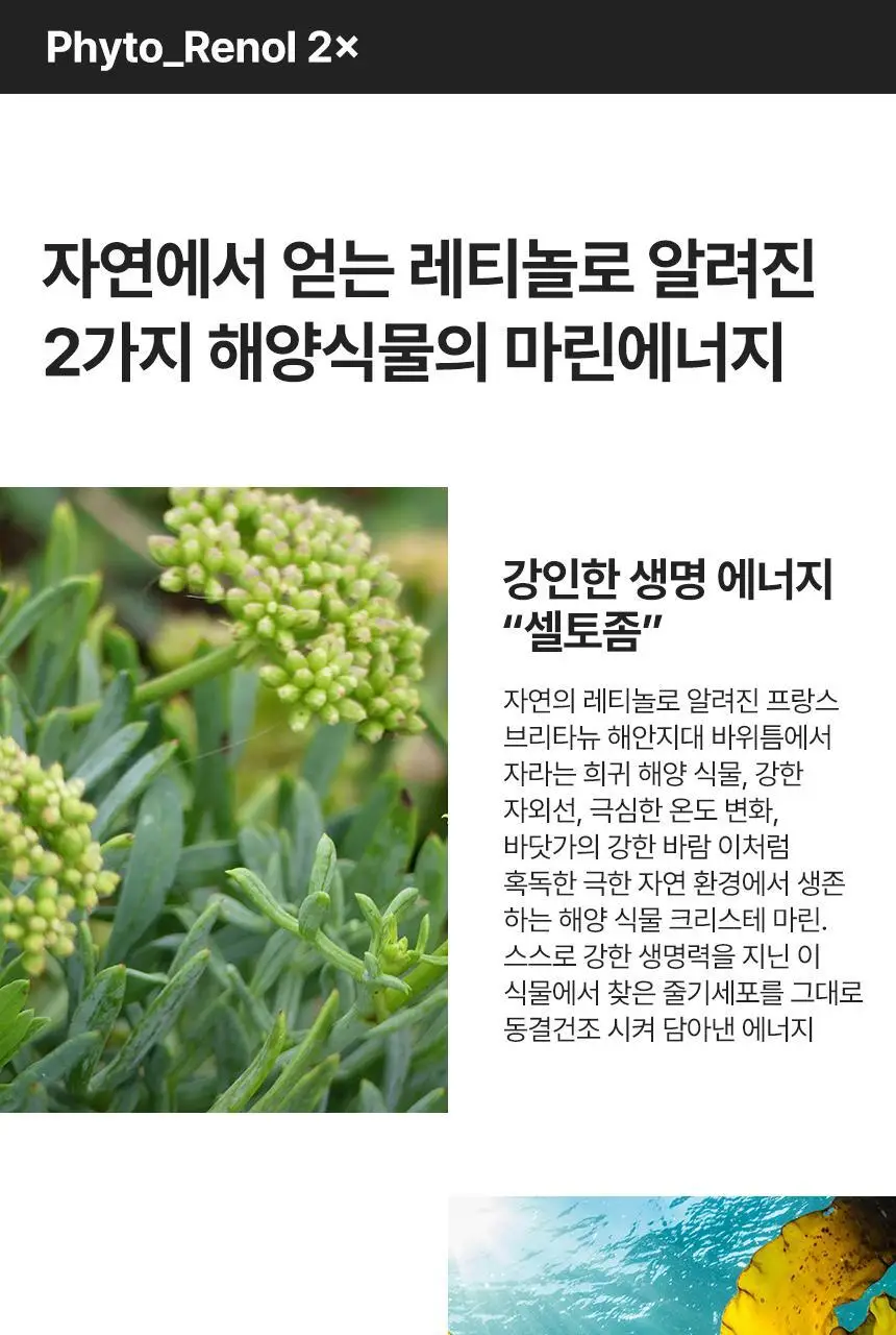 [붙이는 스킨부스터] 아로셀 보툴케어 그래핀 마스크 5매 상세페이지 11